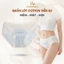Quần Lót Nữ Cotton Viền Su Lụa Co Giãn Tốt, Quần Chip Dễ Thương Kháng Khuẩn AMYBRA L1164
