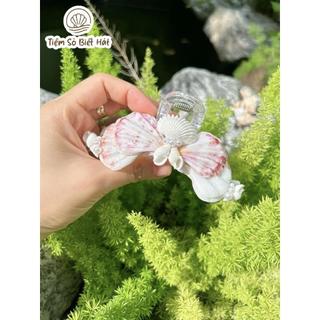 Kẹp vỏ sò càng cua hai mặt handmade - Phụ kiện chụp hình đi biển