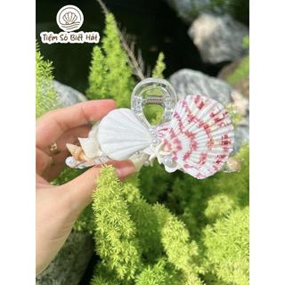 Kẹp vỏ sò càng cua hai mặt handmade - Phụ kiện chụp hình đi biển
