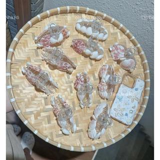 Kẹp vỏ sò càng cua hai mặt handmade - Phụ kiện chụp hình đi biển