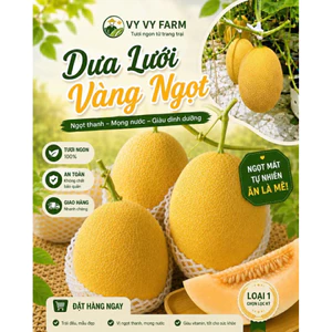 DƯA LƯỚI DA VÀNG HOÀNG KIM - SIZE LỚN 2kg - BAO NGỌT