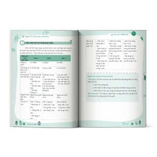 Sách - Combo Tăng Tốc 9+ Ôn Thi Vào Lớp 10 Môn Ngữ Văn - Phần: Đọc hiểu và Nghị luận xã hội – Nghị luận văn học