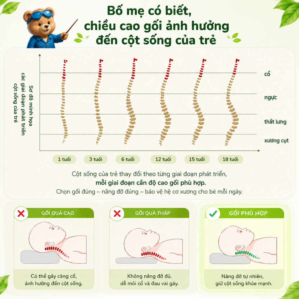 Gối cao su thiên nhiên công thái học Gummi Pudding cho em bé, định hình cổ vai gáy cho bé 26x43x6