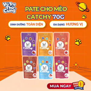 Pate Catchy 5Plus cho mèo dạng gói 70g