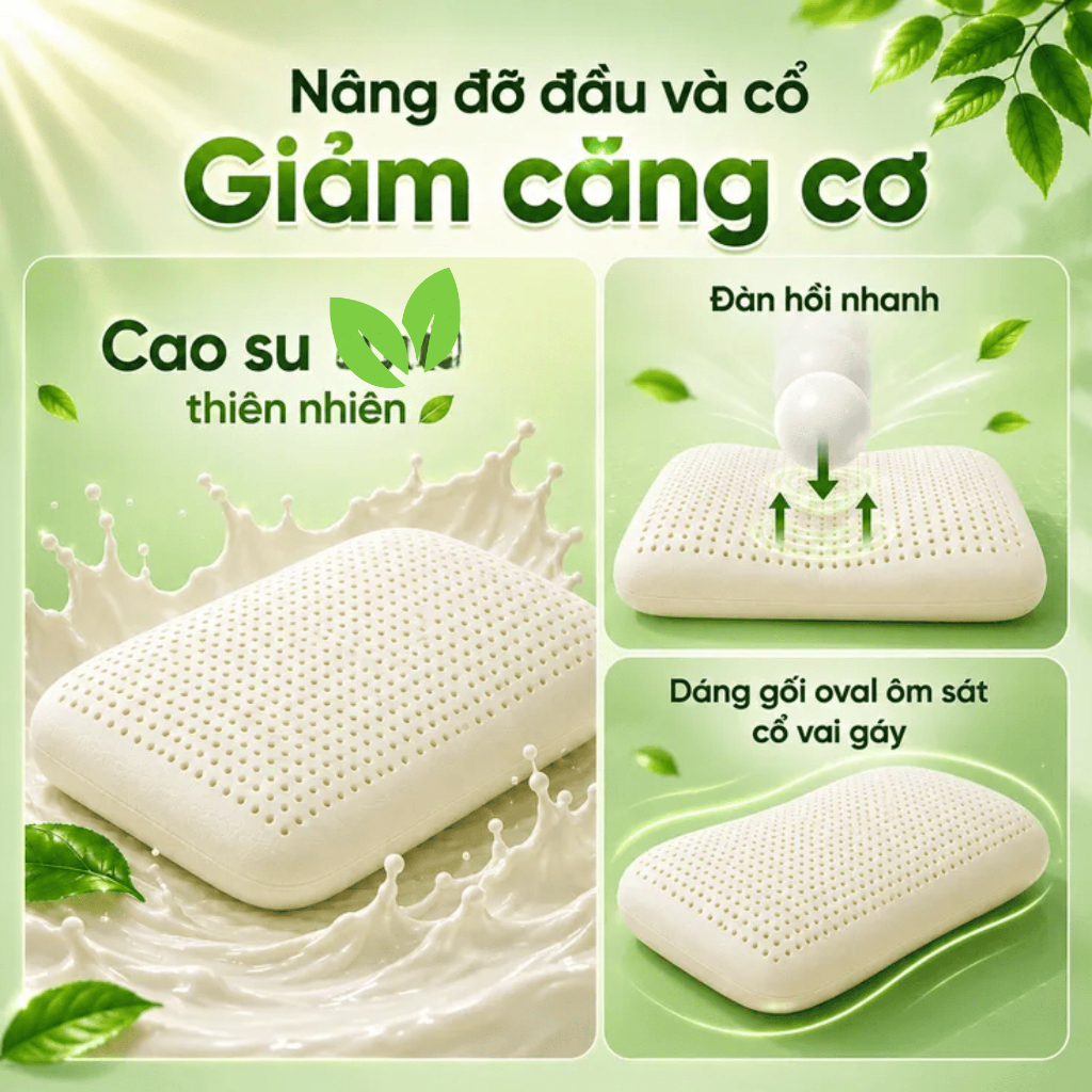 Gối Cao Su Thiên Nhiên Gummi Cookie 35x50x9 - Gối Nâng Đỡ, Thiết Kế Cong Nâng Đỡ chính hãng VUA NỆM