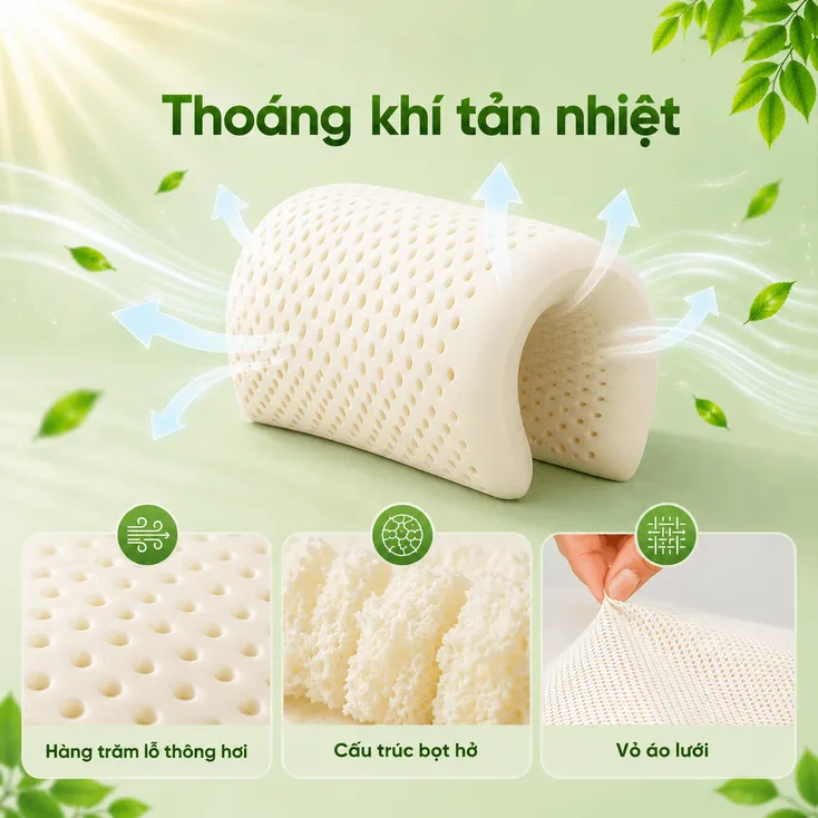 Gối Cao Su Thiên Nhiên Gummi Cookie 35x50x9 - Gối Nâng Đỡ, Thiết Kế Cong Nâng Đỡ chính hãng VUA NỆM