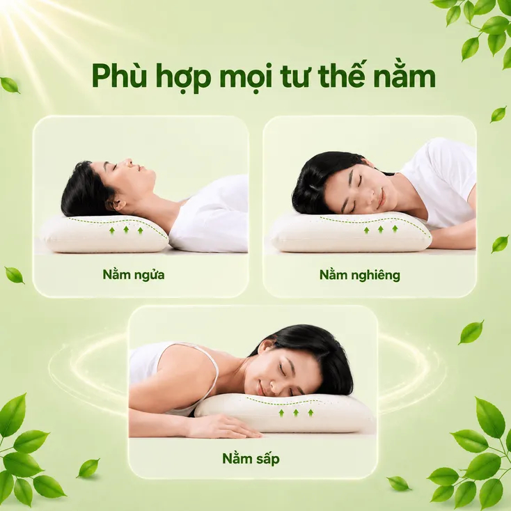 Gối Cao Su Thiên Nhiên Gummi Cookie 35x50x9 - Gối Nâng Đỡ, Thiết Kế Cong Nâng Đỡ chính hãng VUA NỆM