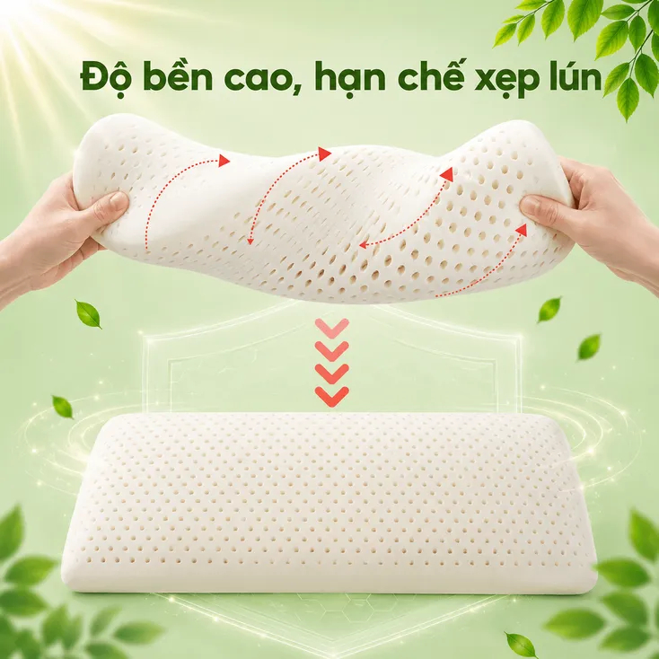Gối Cao Su Thiên Nhiên Gummi Cookie 35x50x9 - Gối Nâng Đỡ, Thiết Kế Cong Nâng Đỡ chính hãng VUA NỆM