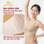 Áo Ngực Su Phối Ren Mềm Mại Quyến Rũ, Áo Lót Nữ Không Gọng Mút Vừa AMYBRA A5482