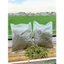 500 gr Cây Xương Khỉ (Cây Bìm Bịp, Mảnh Cộng), Cắt Tươi Và Phơi Khô Bằng Nắng Tự Nhiên