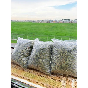1KG Cây Xương Khỉ (Cây Bìm Bịp, Mảnh Cộng), Cắt Tươi Và Phơi Khô Nắng Tự Nhiên