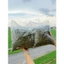 500 gr Cây Xương Khỉ (Cây Bìm Bịp, Mảnh Cộng), Cắt Tươi Và Phơi Khô Bằng Nắng Tự Nhiên