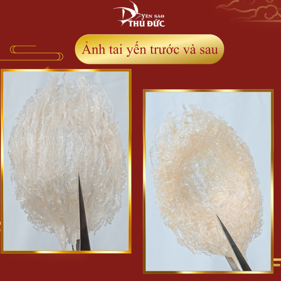 Tổ Yến Tinh Chế Sợi Cao Cấp Dùng Thử 10 Gram Nguyên Chất 100% - Yến Sào Thủ Đức  - Yến Tinh Chế