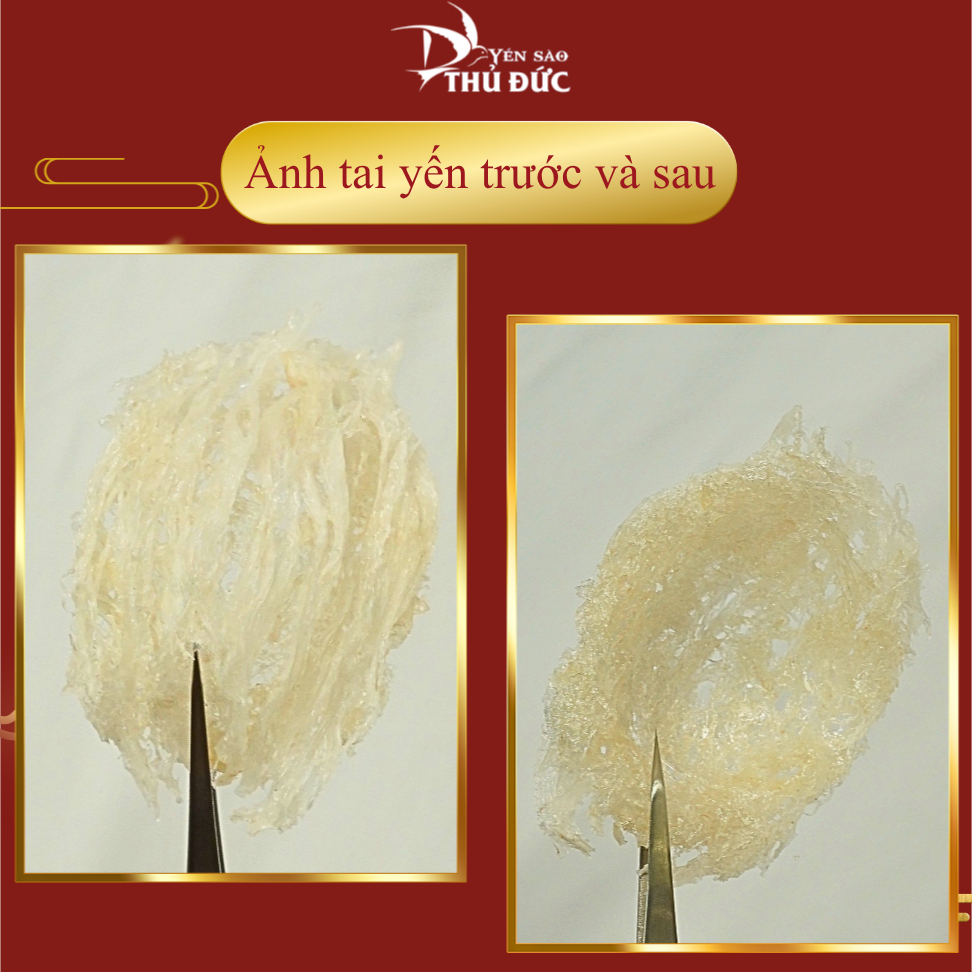 Tổ Yến Sào Tinh Chế Sợi Loại 18 Tai Nguyên Chất 100% - Không Ngâm Đường Tạp Chất - Yến Sào Thủ Đức - TYSCSL