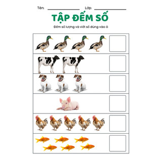 Phiếu Học Tập Đếm Số Lượng Montessori Cho Bé Mầm Non – Tiền Tiểu Học