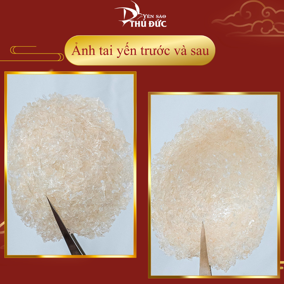 Set Hộp Quà Biếu Yến Tinh Chế Đắp Tổ Yến Sào Thủ Đức - Tổ Yến Nguyên Chất 100% (Sang Trọng Tiết Kiệm) - TYSCSL