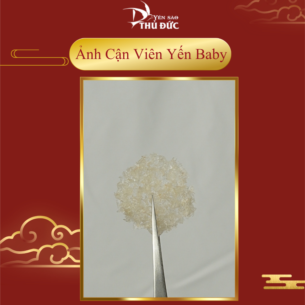 Combo 10 Túi Yến Tinh Chế Vụn Baby Nguyên Chất 100% - Yến Sào Thủ Đức - Yến Tinh Chế YETC 002