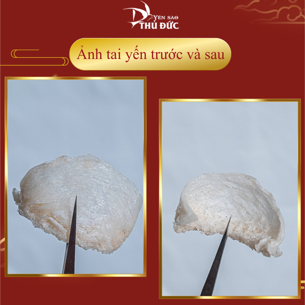 Yến Rút Lông Khô Nguyên Tổ Yến Sào Thủ Đức - Tổ Yến Sào Cao Cấp 100% Nguyên Chất (Hộp Quà Biếu Thượng Hạng) - TYSCSL
