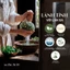 Serum Dạng Xịt Nhớt Thực Vật DaoiDa Làm Dịu Dành Cho Da Khô Căng, Nhạy Cảm Trouble Calming Serum Mist 100ML