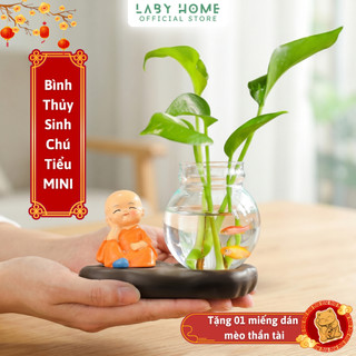 Bình Thủy Canh Chú Tiểu Kèm Đế Gốm Cao Cấp và Tượng - Thanh Lọc Không Khí, Trang Trí Không Gian