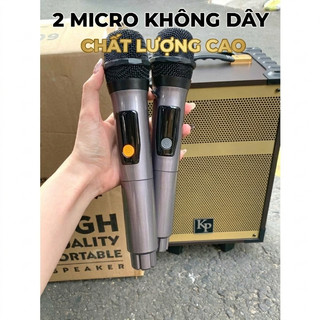 Loa Karaoke AT 09, 1 Bass 20cm+ 1 treble, dàn 5 nút chỉnh, Tặng kèm 2 micro âm nhạc chân thực.