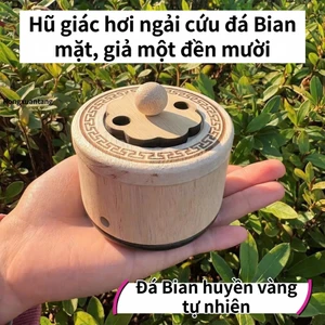 【Mở Bán Mua 1 Tặng 4】BÌNH CỨU NGẢI Mùi Gỗ Dễ Chịu DƯỠNG SINH TẠI NHÀ ĐÁ BIAN O124
