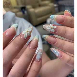 nailbox thiết kế
