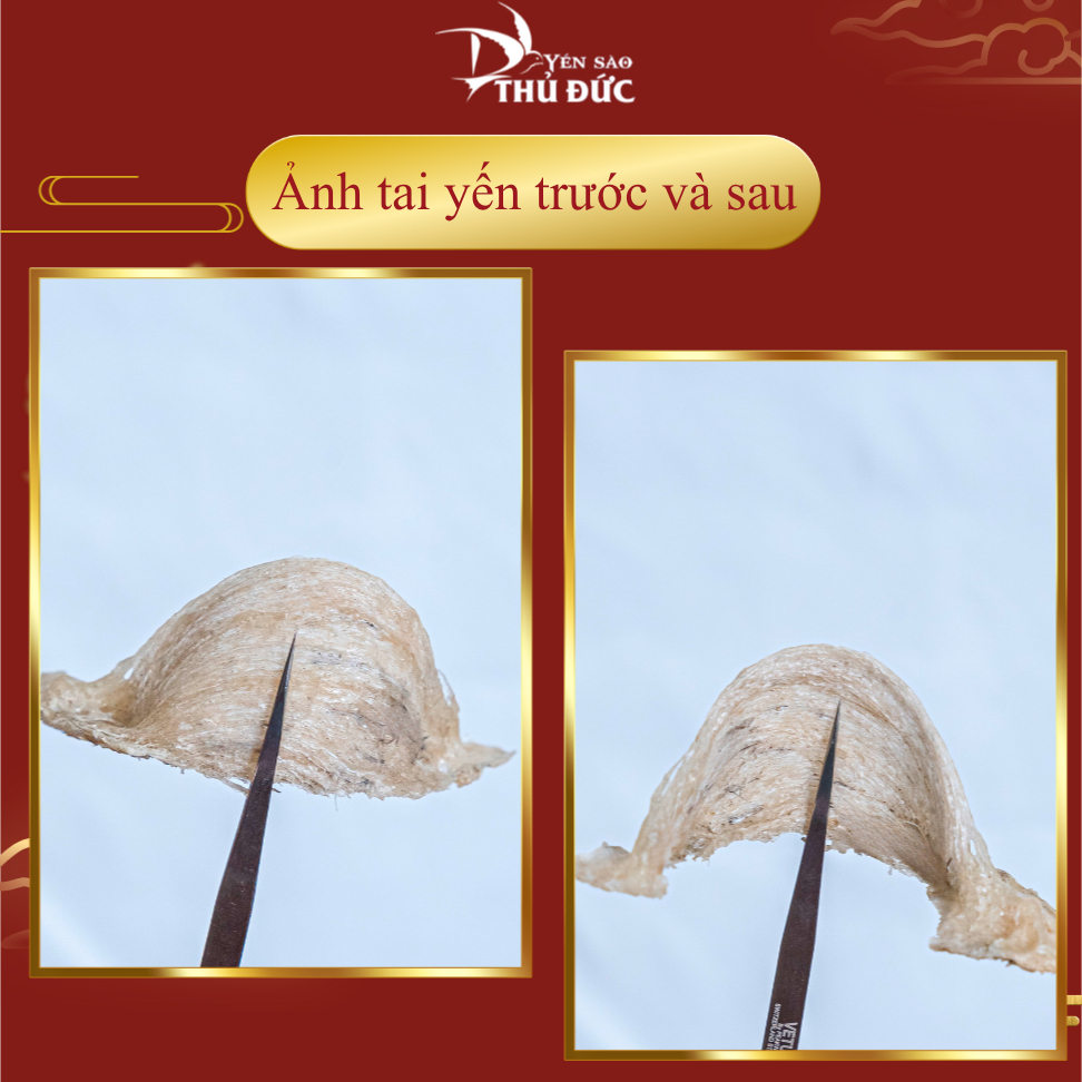 Yến Thô Siêu Ít Lông Tuyển Chọn Yến Sào Thủ Đức - Tổ Yến Thô Già Form Đẹp (Hộp 50g/100g Tiết Kiệm) - TYSCSL