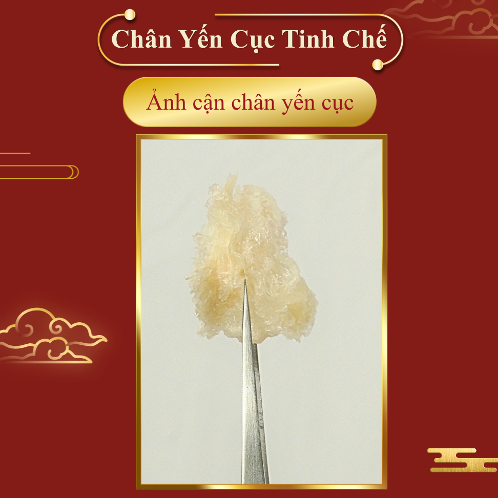 Chân Yến Cục Già Tinh Chế Yến Sào Thủ Đức - Chân Tổ Yến Sào Nguyên Chất Siêu Giòn Dai (Hộp 50g/100g) - TYSCSL