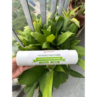 Combo 4 Túi Đựng Thực Phẩm Túi Nilon PE Tự Hủy Sinh Học An Toàn Dai Bền Chịu Lạnh Túi Cuộn Nhiều Kích Thước