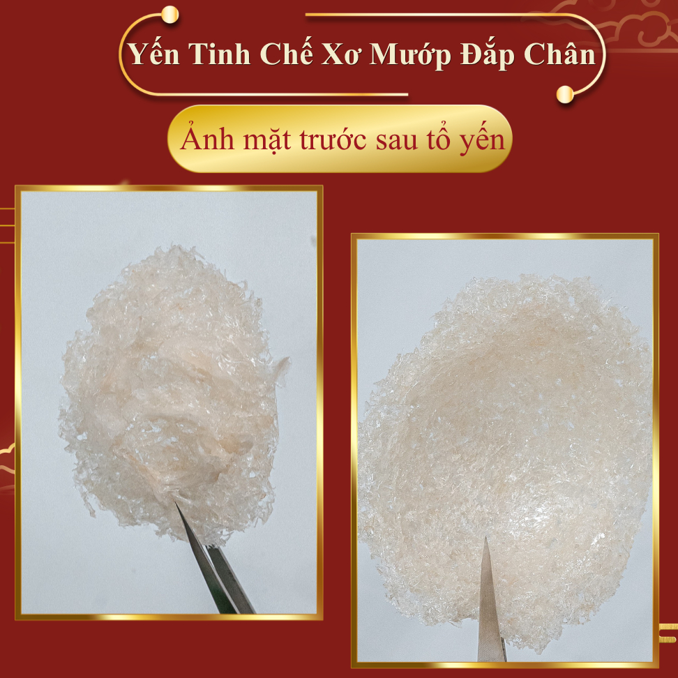 Yến Xơ Mướp Đắp Chân Tinh Chế Yến Sào Thủ Đức - Tổ Yến Sào Nguyên Chất 100% Không Pha Trộn (Hộp 50g/100g)  - TYSCSL
