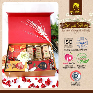 Hộp quà Tết thực phẩm Hải Long Set 3 cao cấp, bộ hạt dinh dưỡng và mứt sấy thượng hạng quý | HẢI LONG
