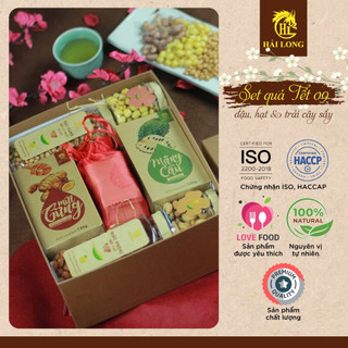 Hộp Quà Tết Dinh Dưỡng Set 09- Đậu, Hạt Dinh Dưỡng & Trái Cây Sấy Tự Nhiên Phù Hợp Biếu Tặng, Đãi Khách | Hải Long Food