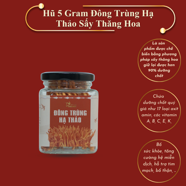 Đông Trùng Hạ Thảo Loại 1 Sấy Thăng Hoa Hũ Nhỏ 5 gram