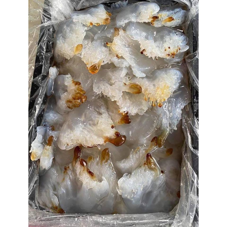 Túi chân sứa 1kg còn mặn, Chân sứa muối còn mặn chưa xả