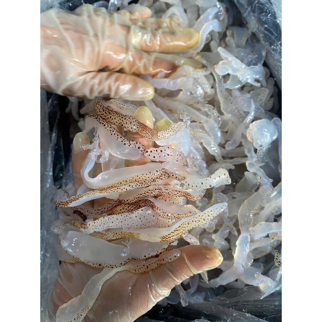 Túi 1kg thân sứa mặn - Sứa muối mặn chưa xả