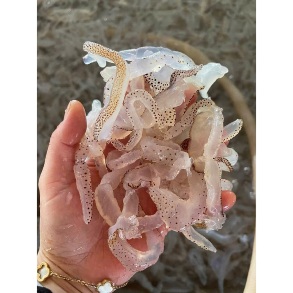 Túi 1kg thân sứa mặn - Sứa muối mặn chưa xả