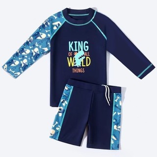 Đồ BơI Bé Trai MùA Hè MớI: áO + QuầN, VảI Polyester ChốNg NắNg Khô đồ BơI Em Bé Trai