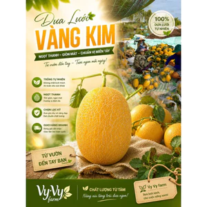 DƯA LƯỚI DA VÀNG - VỎ MỎNG SIZE 2KG - HÀNG ĐẸP BAO NGỌT