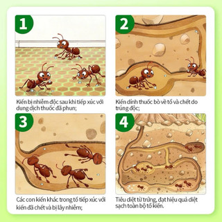 Bình xịt diệt kiến sinh học, không màu mùi, không kích ứng, kiến, gián, ruồi, bọ chét, an toàn,500ml