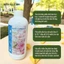 Nước dưỡng hoa cắm hoa tươi lâu không thối nước