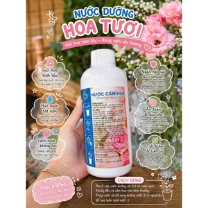 Nước dưỡng hoa cắm hoa tươi lâu không thối nước