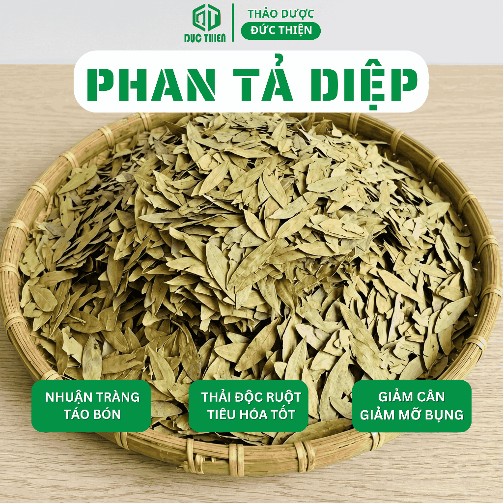 100g, 250g, 500g Phan Tả Diệp Loại 1 Đức Thiện (Khô, Sạch, Thơm) - Tốt Cho Tiêu Hóa
