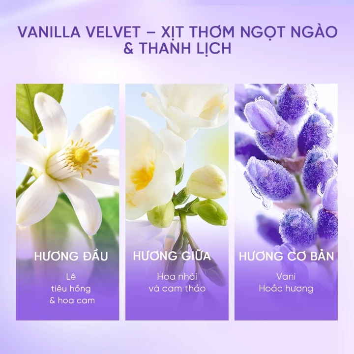 Xịt thơm Body Mist hương Black Opium Grace and Glow Body Mist 100ml thơm mát 100ml