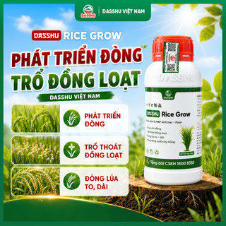 DASSHU RICE GROW - Phân Bón Lúa Hỗ Trợ Đẻ Nhánh, Làm Đòng, Trổ Bông, Bổ Sung Humic Và Vi Lượng