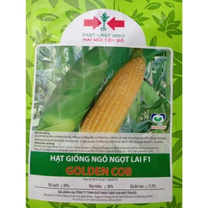 Gói khoảng 70 hạt giống Ngô Ngọt GOLDEN COB, Trái To, Đều, Đẹp, Ăn Ngon, Ngọt, Rau Ăn Quả Cty Trang Nông Nổi Tiếng
