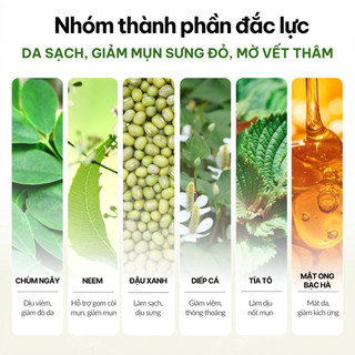 Mặt nạ dưỡng ẩm Teas 120g Skinstory Việt Nam, mặt nạ thảo mộc làm sạch da, giảm mun, phục hồi da, hỗ trợ giảm thâm
