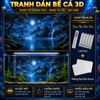 Decal tranh dán hồ cá 3D Kho In Ấn HC54 chống nước, In KTS dán dễ, gỡ dễ, có keo sẵn, nhiều kích cỡ