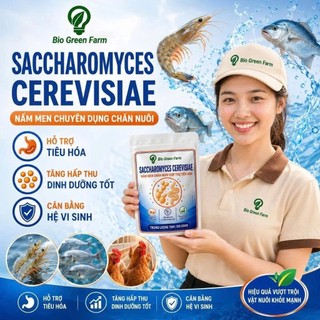 Nấm men tiêu Saccharomyces Cerevisiae 500gr ngừa phân trắng phòng phân lỏng ức chế khuẩn ruột trên tôm cá ếch ốc lươn