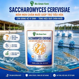 Nấm men tiêu Saccharomyces Cerevisiae 500gr ngừa phân trắng phòng phân lỏng ức chế khuẩn ruột trên tôm cá ếch ốc lươn